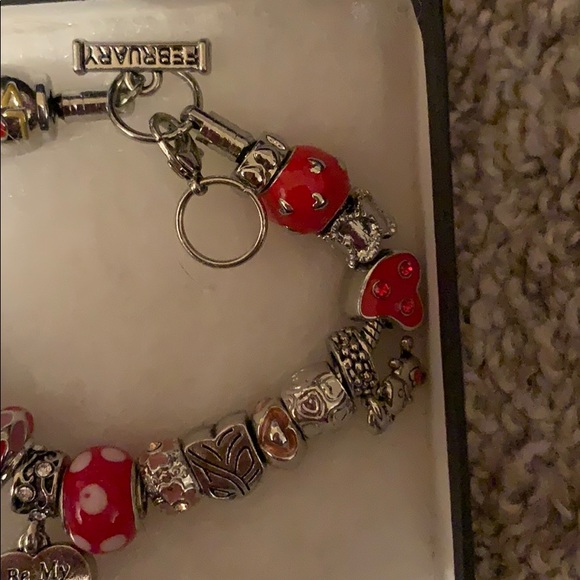 COPY - February charm bracelet! - Picture 4 of 4